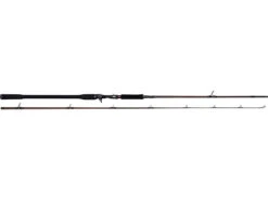Westin W4 Powershad-T Rod 2nd Generation