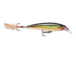 Rapala X-Rap 8cm -Fishing Products Store XR G 1024x1024 01742a4e f14f 4d6d a94d cad18619ffee