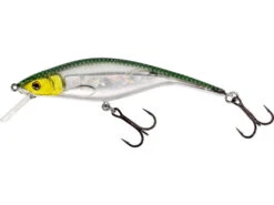Westin P10SR Crankbait 10cm -Fishing Products Store p148 122 012 default