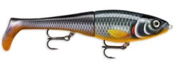 Rapala X-Rap Peto 20cm -Fishing Products Store peto hlw