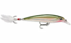Rapala X-Rap 8cm -Fishing Products Store rapala xr10og x rap