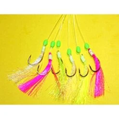 Shamrock Crazy Clown Rigs