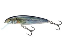 Salmo Minnow Crank Bait 5cm Sinking 15 Salmo Minnow Crank Bait 5cm Sinking -Fishing Products Store wobler salmo minnow floating 5 5cm 3g 2quot 116oz spirlin 9q 0673a492 1358 4825 95a3 471ae04ecf7d